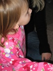 IMG 4589