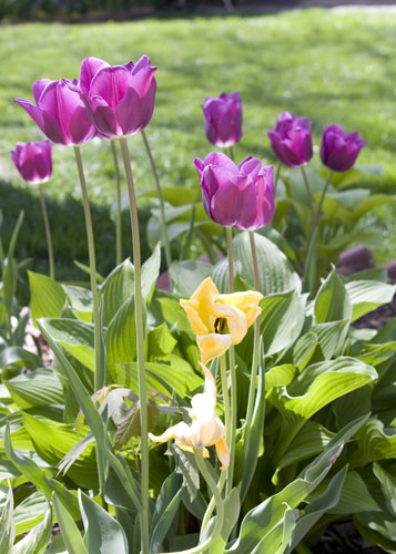20100417_0050.jpg